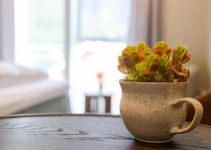 Apartment May's By May's Reine