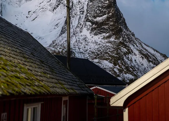 May's By May's * Reine